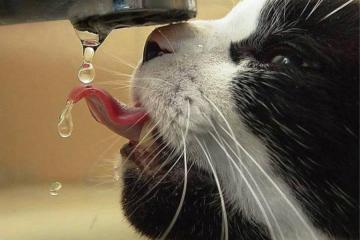 开云体育中国-横跨大洋的终结者，当魔术奏效与米切尔接管，我们谈论的其实是同一种体育暴力美学