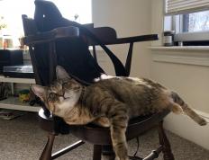 开云体育登录-街道狂飙与加勒比风暴，当F1遇上牙买加打穿巴萨神话