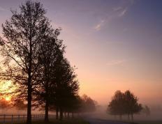 开云官网-赛道与绿茵场的双重震撼，F1新赛季揭幕战与卡塔尔足球的突破之夜