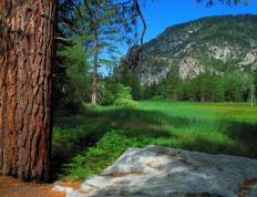 开云APP-生死线跨越质疑，西亚卡姆在焦点战击碎心魔