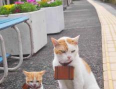 开云体育官方网站-库里致命三分弑旧主！热火客场掀翻公牛，昔日弃将化身关键先生