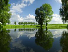 开云体育-双星耀布鲁克林，哈利伯顿里程碑之夜，篮网团队风暴击溃鹈鹕