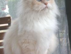 开云体育登录-年度焦点之战之夜，字母哥关键进球定乾坤