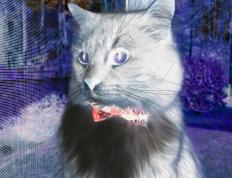 开云体育中国-西甲国家德比焦点战，如老鹰展翅，全面压制掘金般的竞技盛宴