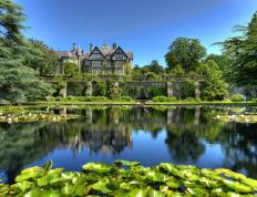 开云体育-阿尔及利亚防守锁死加纳，德里赫特压力下完成爆发—足球场上的坚韧与突破