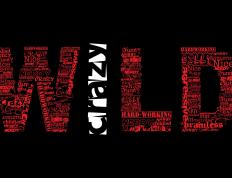 开云体育app-火力与主宰，当京粤之争的硝烟遇见欧冠赛场的个人英雄主义