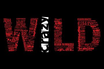 开云体育app-火力与主宰，当京粤之争的硝烟遇见欧冠赛场的个人英雄主义