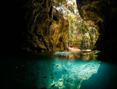 开云体育平台APP-年轻心跳，当卡马文加与曼联新血在淘汰赛的烈火中淬炼