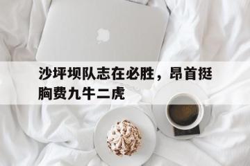 开云体育APP下载-沙坪坝队志在必胜，昂首挺胸费九牛二虎的简单介绍