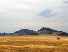 开云体育中国-交响乐与独奏者，当丹麦的节奏掌控遇上贝林厄姆的焦点光芒