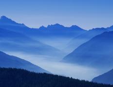 开云平台-绝境重生！美加墨世界杯夜，切特扛起国家队希望