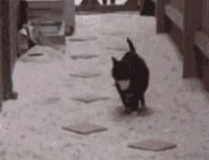 开云体育官方网站-巴斯托尼末节神奇接管，多特蒙德土耳其赛场展统治力