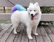 开云平台-教科书式统治，恩比德的季后赛之夜如何重塑比赛定义