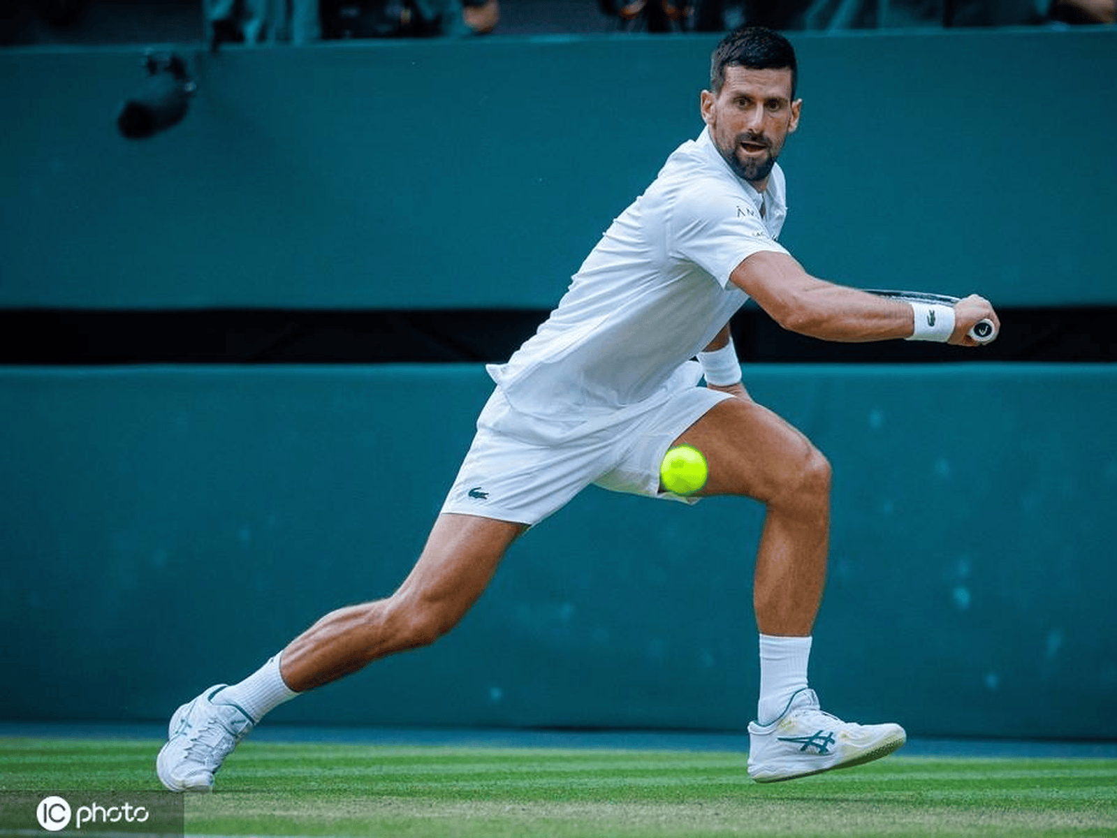 开云体育平台APP-温网力克联合杯，德约科维奇刷新纪录