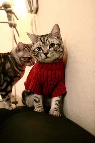 开云体育在线-雷霆万钧！保罗末节封神，广东吞下苦果