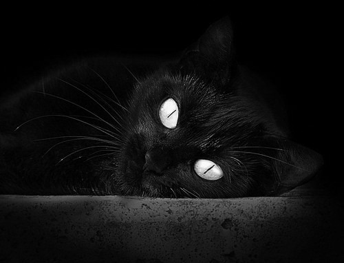 开云体育入口-凯尔特人对阵魔术,班凯罗擎天一柱,新生代改朝换代之夜