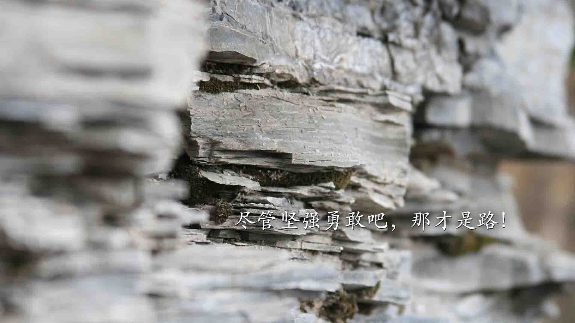 开云体育平台APP-铁血意志！悬崖边的北京队终亮剑，世界排名争夺战焦点战粉碎吉林