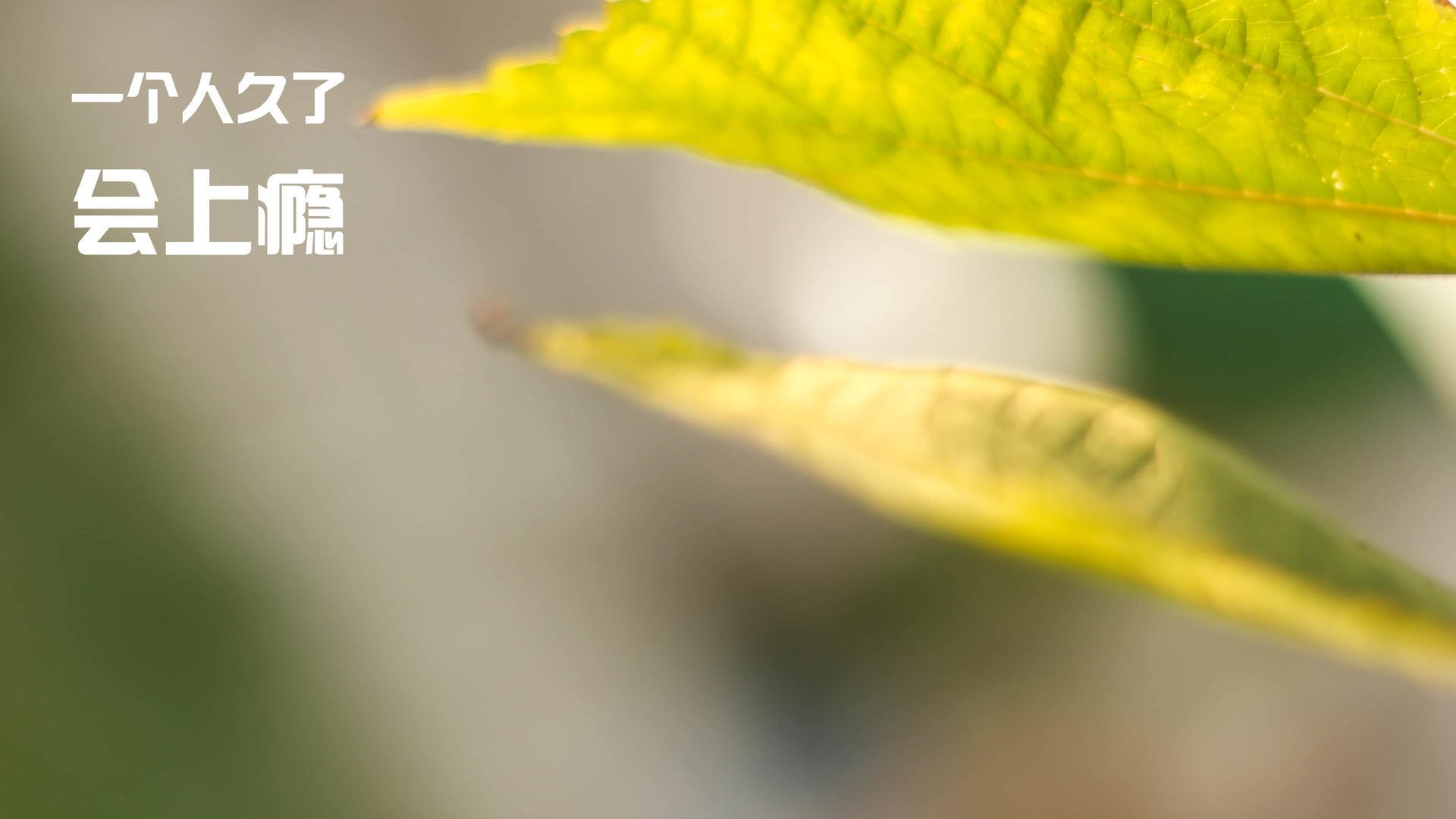 开云体育中国-姆巴佩一锤定音，阿森纳挺进四强