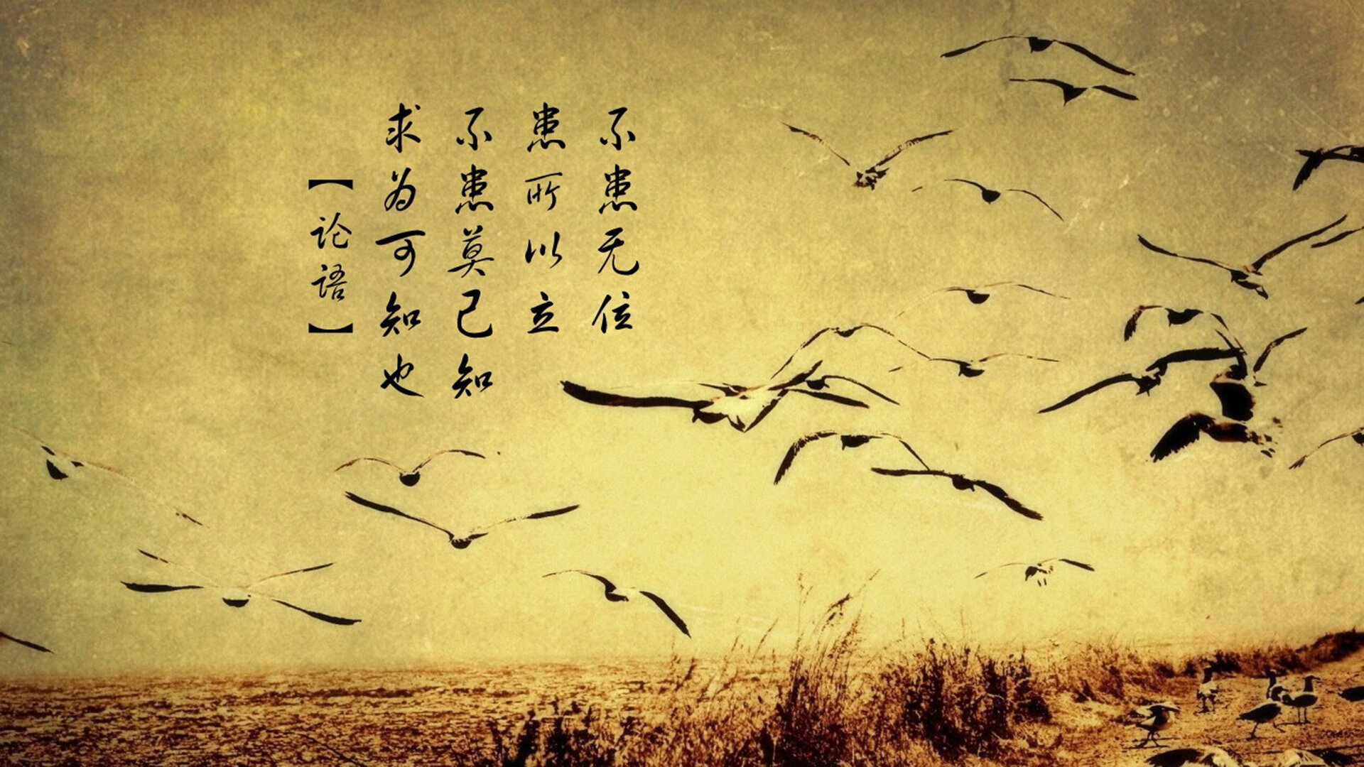 开云体育官方网站-从亚平宁到波罗的海，当斯通斯与尼斯重新绘制欧洲足球地理