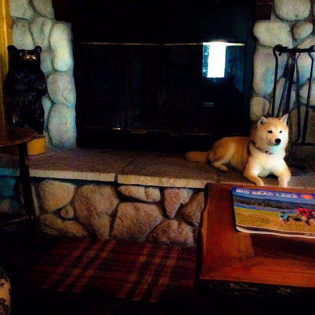 开云体育app-锁链与引擎，从乌拉圭的钢铁防线到布雷默的冠军接管—现代足球的胜负基石