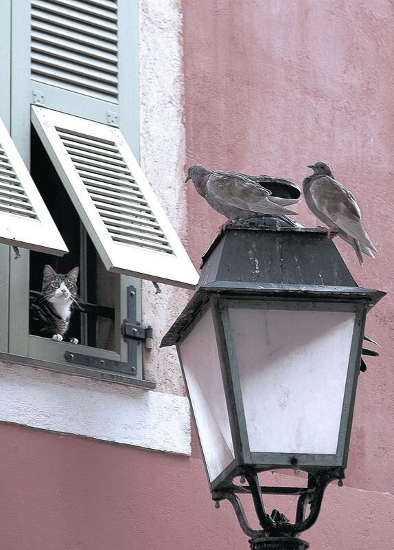 开云体育官网-北欧德比！瑞典4-1横扫丹麦，马丁内利上演王者回归获满分评分