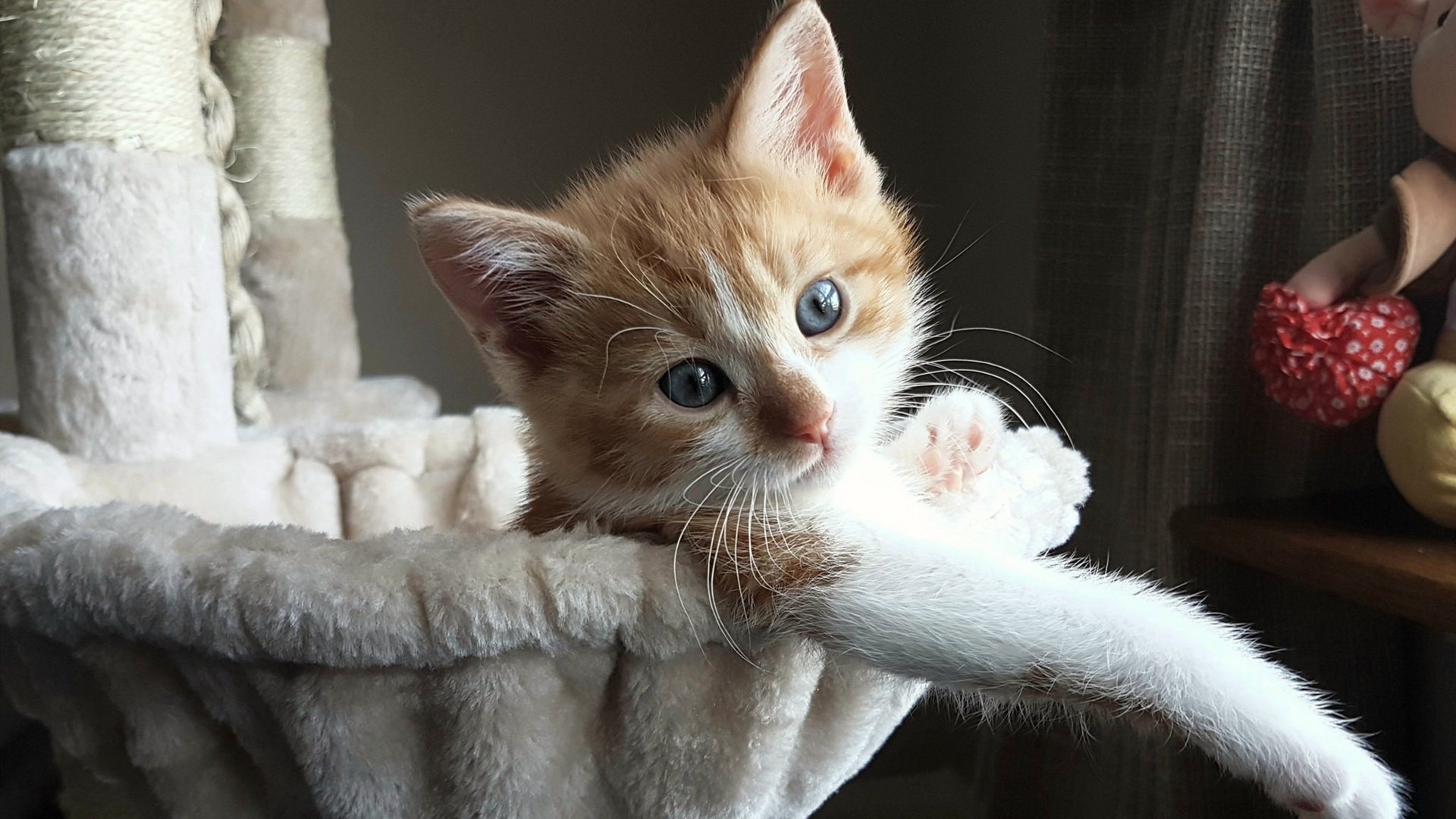 开云体育入口-冷门与英雄，当德里赫特绊倒克罗地亚，委内瑞拉书写草根传奇