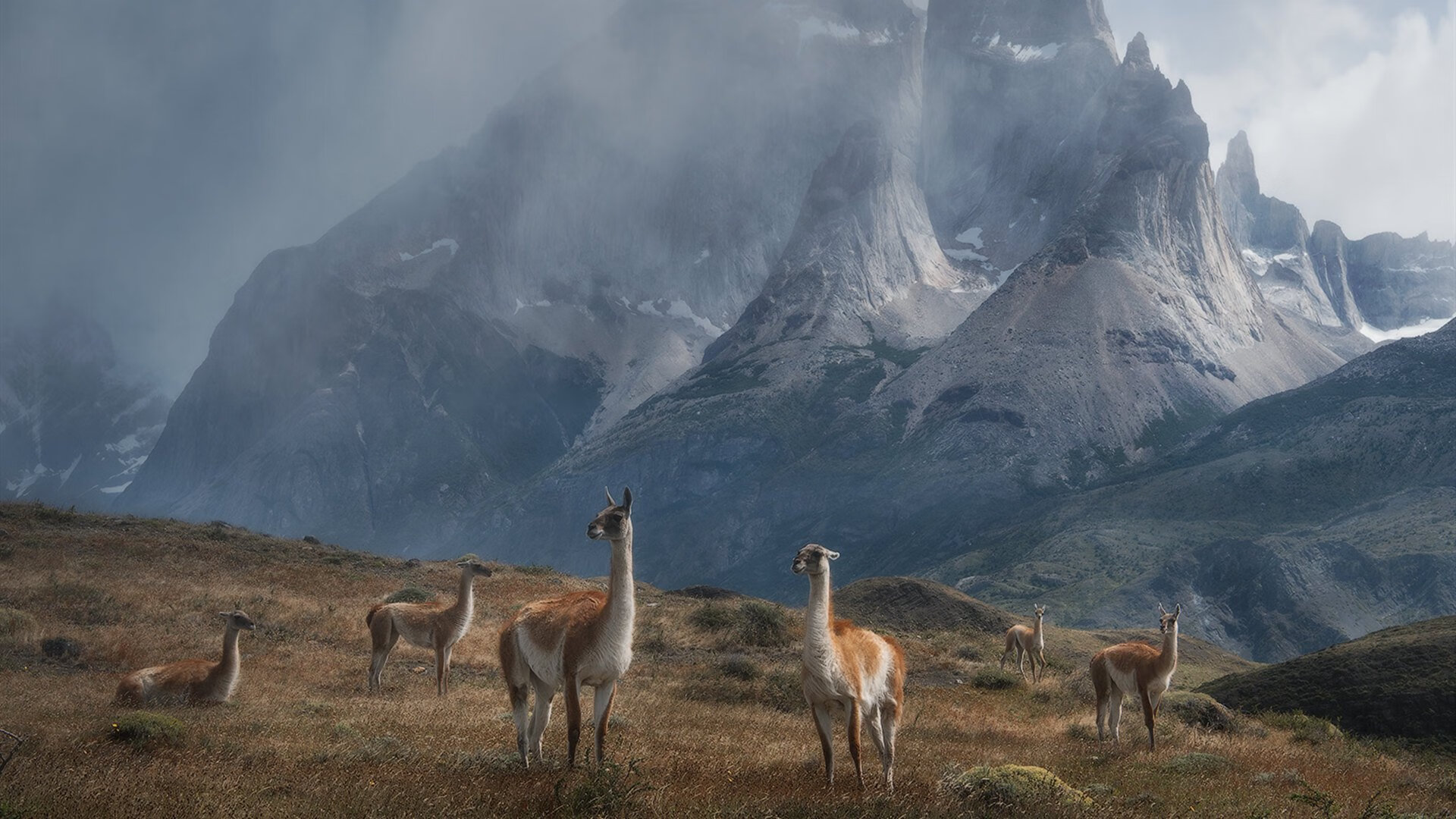 开云体育平台APP-多特蒙德战术碾压厄瓜多尔，巴斯托尼一锤定音成胜负手