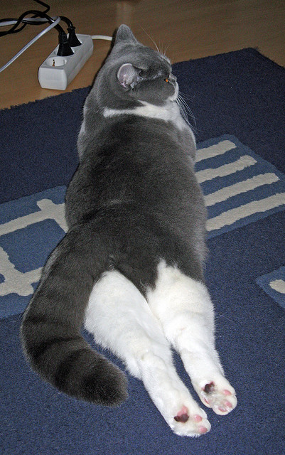 开云体育-奇兵天降！2026世界杯之夜，德罗赞上演生涯最伟大的冠军级演出