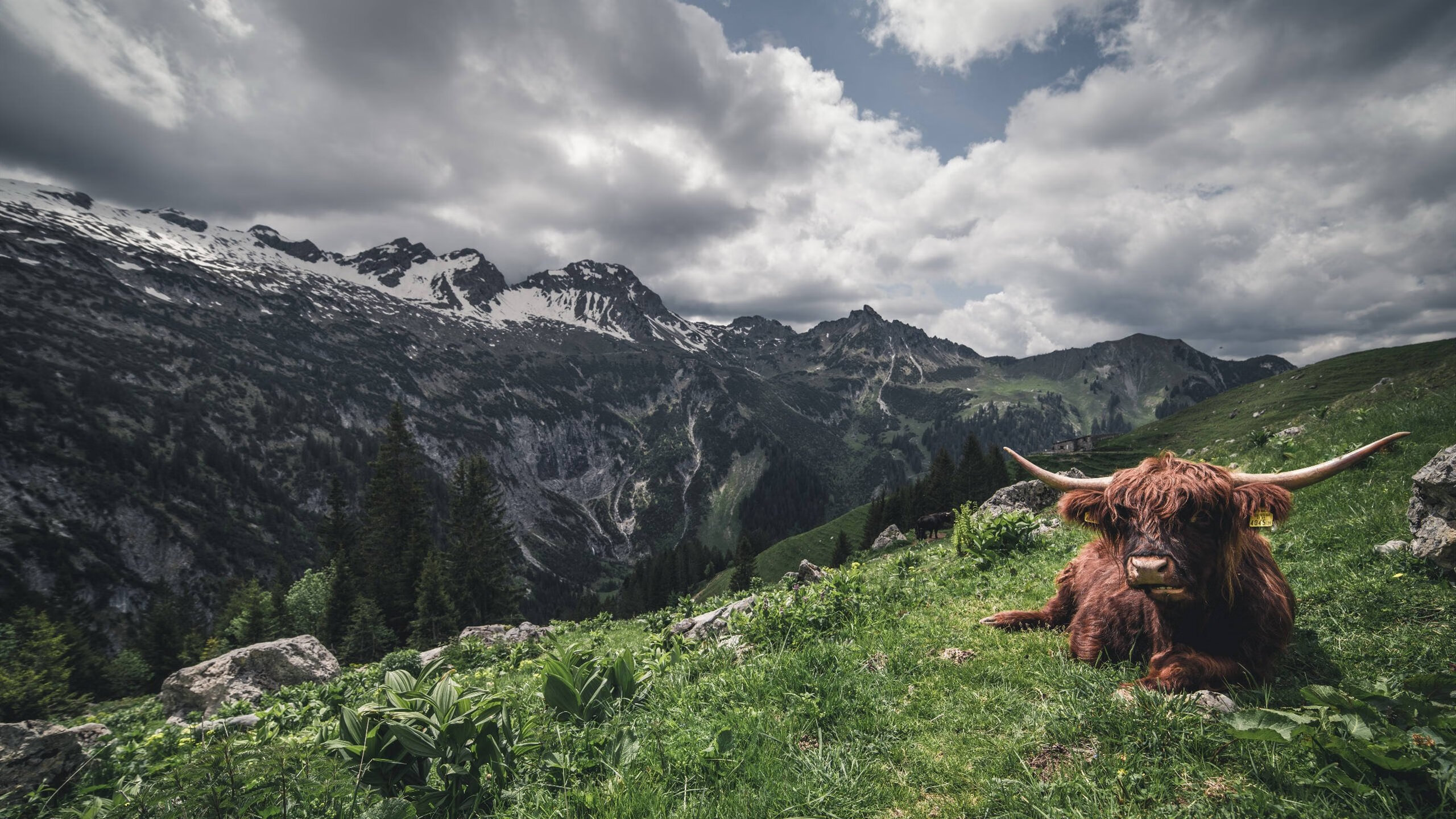 开云体育登录-意甲落幕,北方三强的角力与英超西甲的欧洲霸权