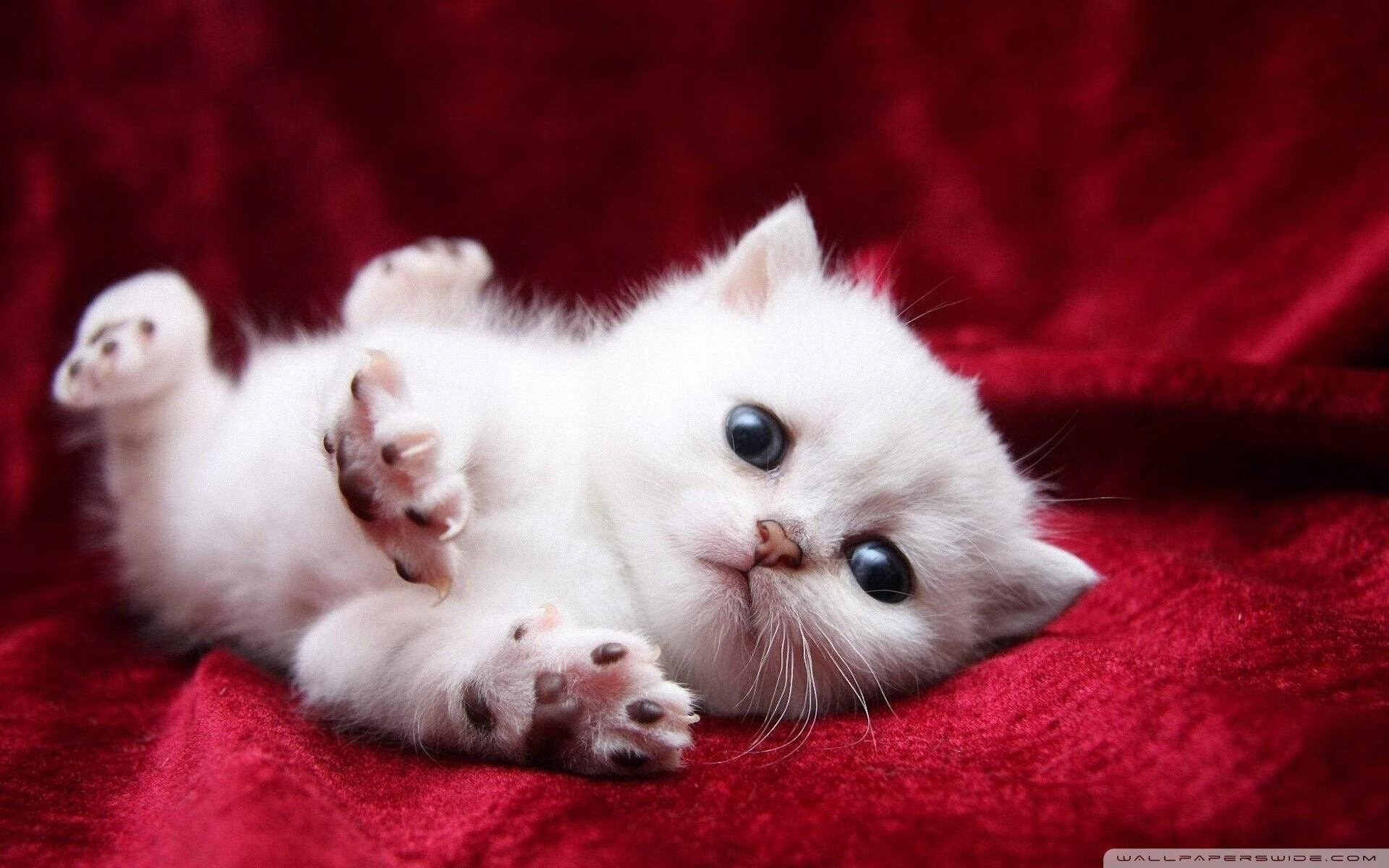 开云APP-英格拉姆化身硬仗之王，新疆男篮的冷箭狙击了谁的傲慢？