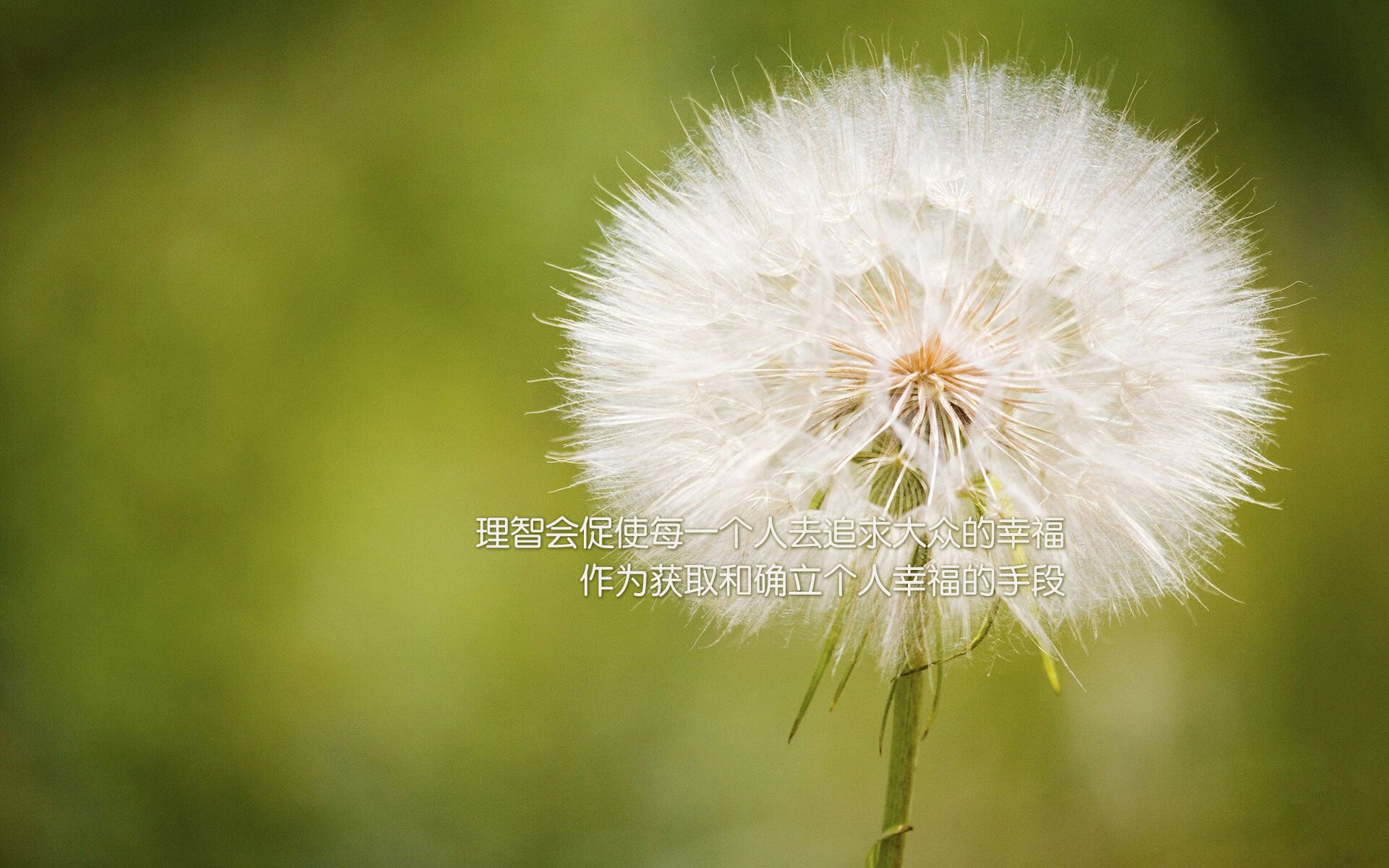 开云体育官网-绿衫狂潮席卷天山！拉梅洛决胜三分钟成关键先生