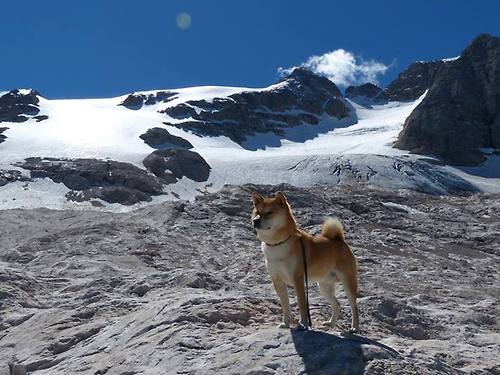 开云体育-戈贝尔制胜表现引领开拓者碾压骑士,内线巨塔铸就酣畅大胜