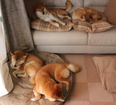 开云体育在线-从绝望到救赎，詹姆斯终场觉醒，猛龙铁血防守碾碎国王